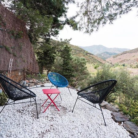 Maison F2 Independante Avec Terrasse, Climatisation Et Wifi A Banyuls-Sur-Mer - Fr-1-309-262 المظهر الخارجي الصورة