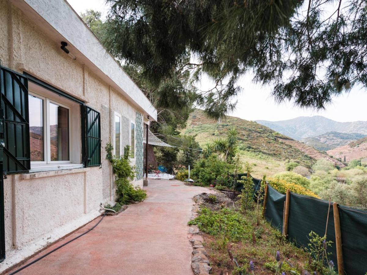 Maison F2 Independante Avec Terrasse, Climatisation Et Wifi A Banyuls-Sur-Mer - Fr-1-309-262 المظهر الخارجي الصورة