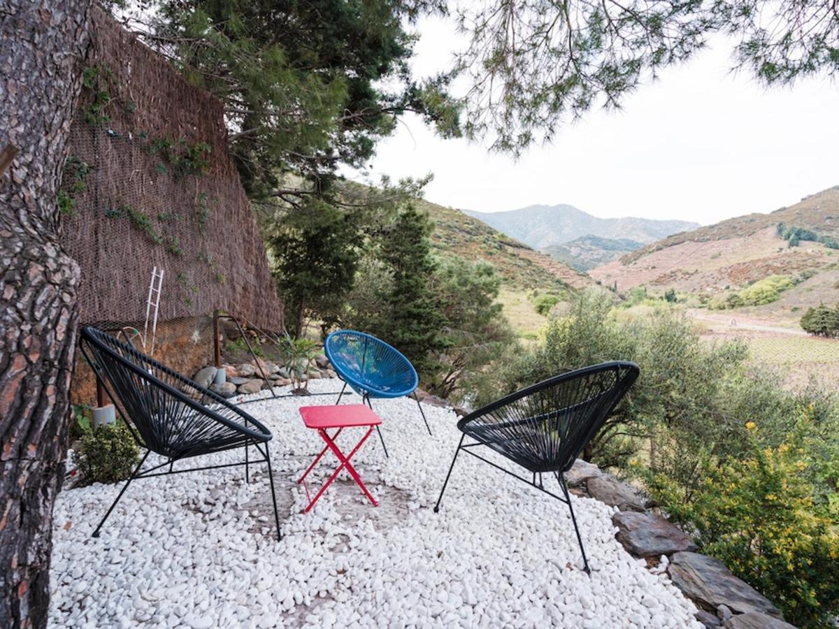 Maison F2 Independante Avec Terrasse, Climatisation Et Wifi A Banyuls-Sur-Mer - Fr-1-309-262 المظهر الخارجي الصورة